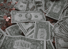 Scholarships and Financial Aid